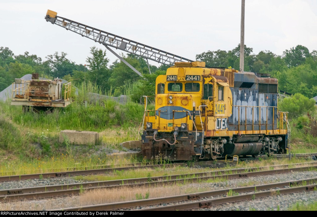 LTEX 2441 at LaPlata